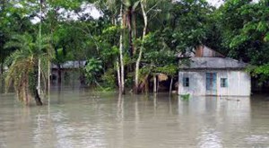Bappy_Rangpur_bg_285888783